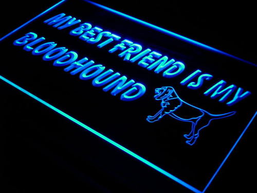 Best Friend Bloodhound Dog Shop Neon Light Sign